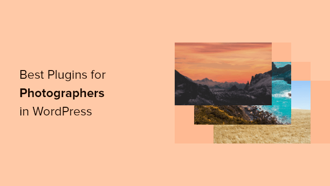 17 Best WordPress Plugins for Photographers