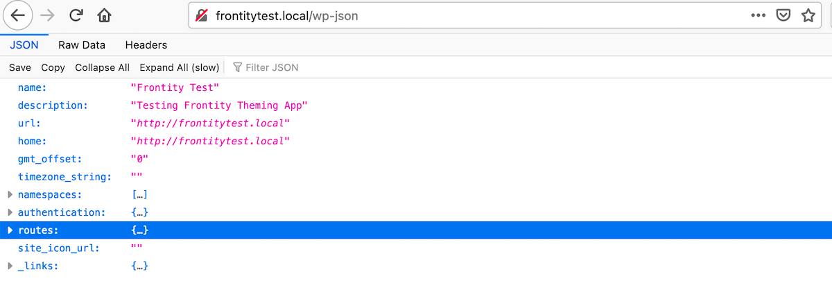 Screenshot showing output in JSON format.