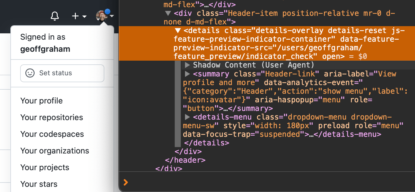 DevTools open with the details element highlighted in orange.